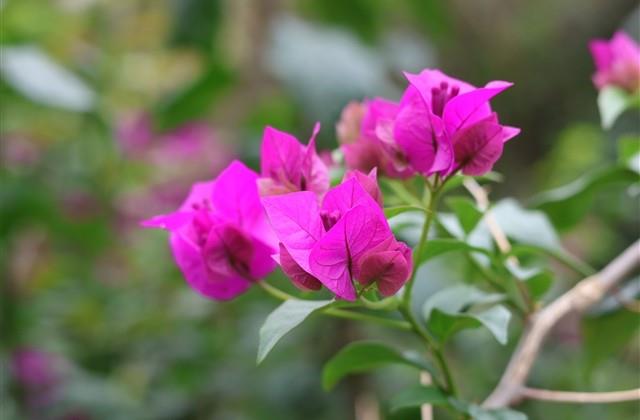 适合发朋友圈的高兴句子 朋友圈高兴心情短语 适合发朋友圈的高兴句子 朋友圈高兴心情短语