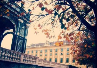 ​表达遗憾的句子100句