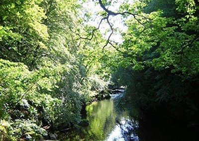 ​经典春天优美语句45条