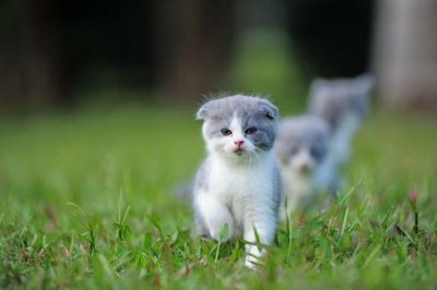 ​写冬日的阳光唯美的句子（描写冬日阳光的短句）