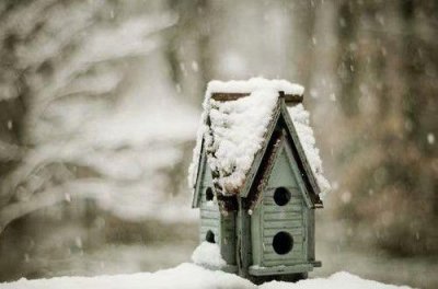 ​奋斗正能量句子56条