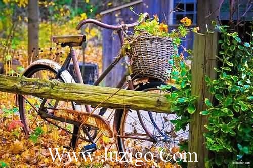 阳光明媚早安句子唯美(早上太阳的说说优美句子)