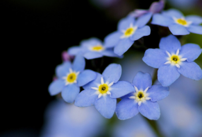 ​带悠悠球的网名大全女