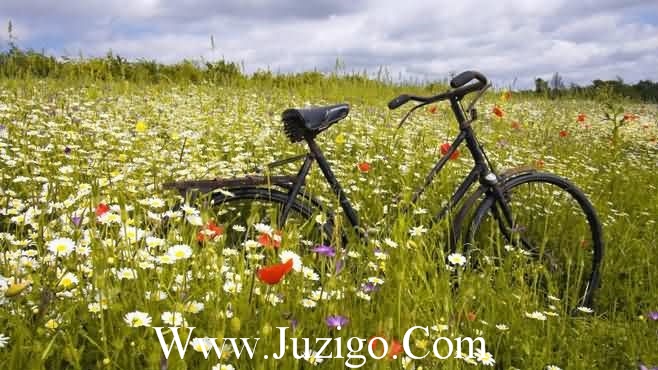 有内涵的自嘲的话高雅风趣的幽默段子精选(精选75句)