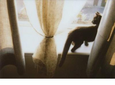 形容孩子童真的词语