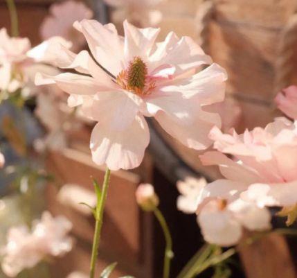 2025年简洁的哲理句子合集94条