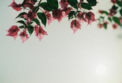 表达一天很累的句子