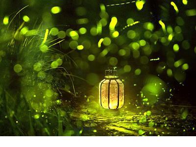 表扬一个人孝顺的句子