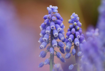 ​抖音关于过年的句子(过