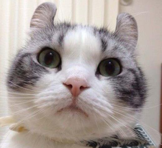 形容到老一个人的句子