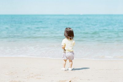 ​与春有关的农业谚语84句