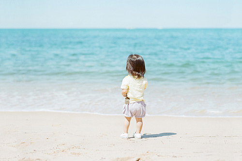 与春有关的农业谚语84句