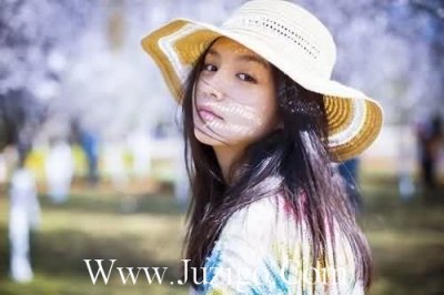 ​鸡年春节贺岁词83句