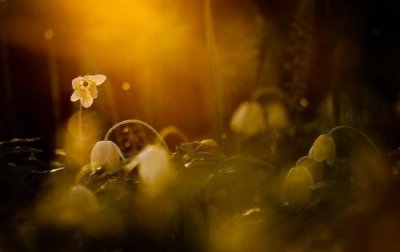 ​范伟的幸福是什么的经典语录(范伟电影经典台词)