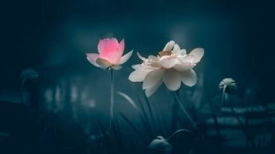 ​思念却不能相见的句子 想联系又怕打扰的短句