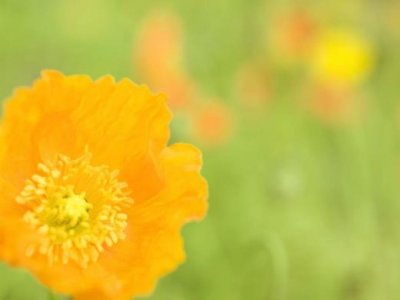 ​教师节先献给老师的话