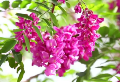 描写坚持的句子摘抄（激励人坚持不懈的名句）