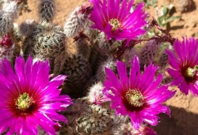 ​回忆的画面一幕幕在拼凑