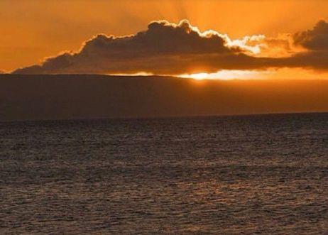 形容对你很失望的句子