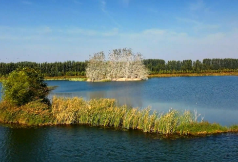 1708310428483769.png image.png