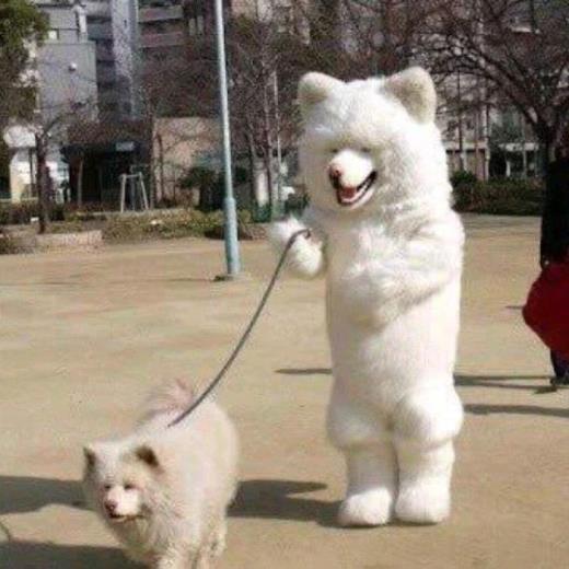 8字搞笑幽默短句