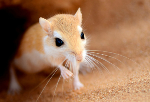 1708311095480109.png image.png