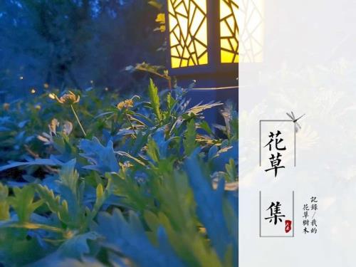 2023清明节句子简短