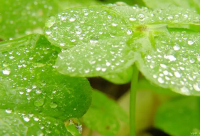 ​2026伤感的句子-51句