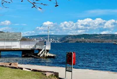 ​2025秋季运动会标语横幅霸气 大学运动会口号