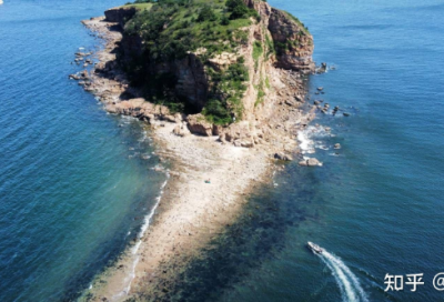 ​茶的标语81句