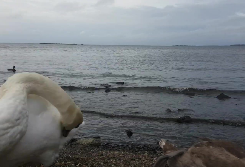 1764833395783836.png image.png