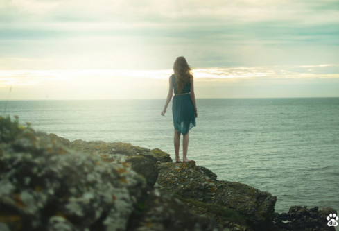 1764833727202595.png image.png