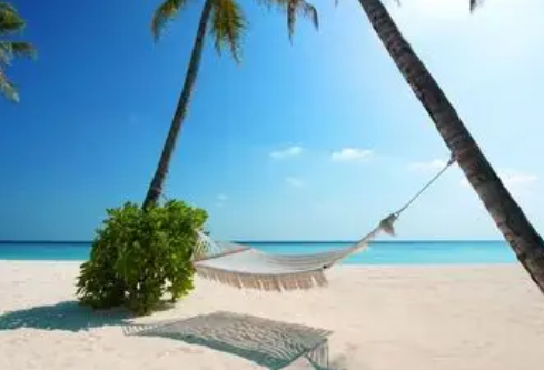 1764834226594662.png image.png