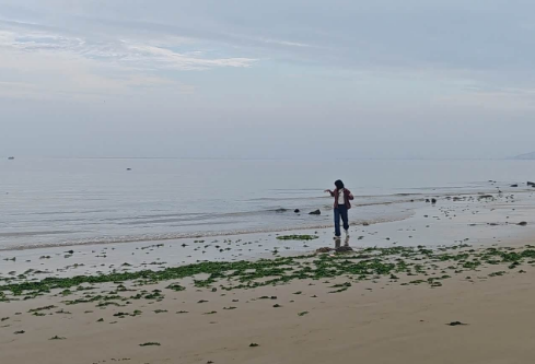 1764834392385595.png image.png