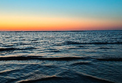 1764834558528257.png image.png