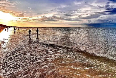​学校光盘行动宣传标语 光盘行动宣传标语60字