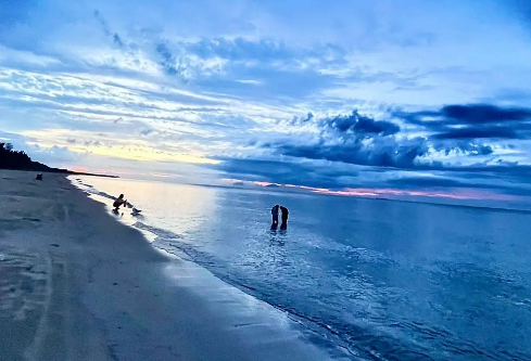 1764835886471080.png image.png