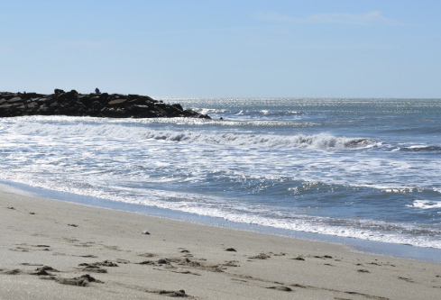 1764837554701777.png image.png