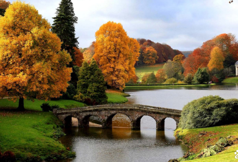 1764837724611221.png image.png