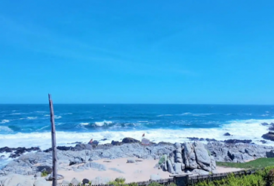 ​超市销售服务口号83句