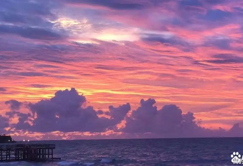 1764844541315455.png image.png