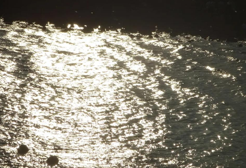 1764849039572892.png image.png