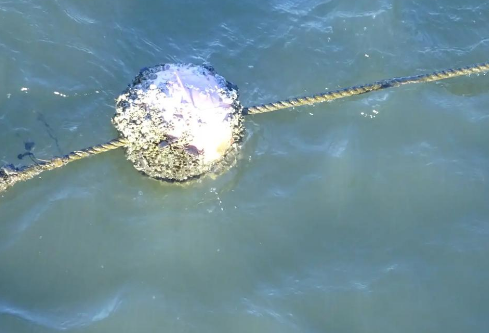 1764849863807527.png image.png