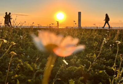 ​高雅班级口号 优雅的班级口号
