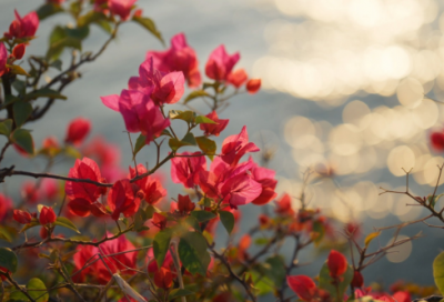 ​高校艺术教育宣传口号 艺术教育口号