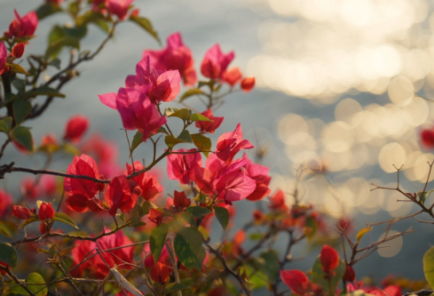 1764852688431480.png image.png