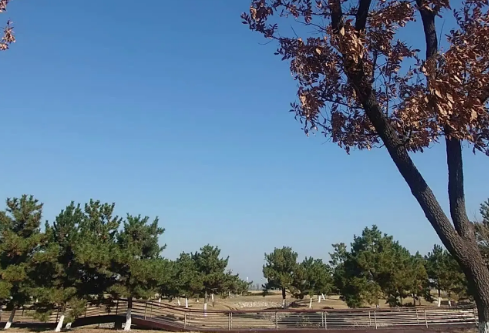 1764853353459781.png image.png