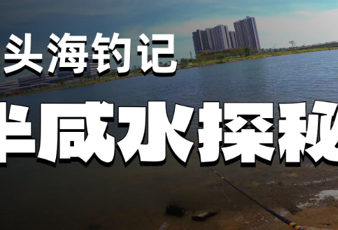 1764857341806906.png image.png