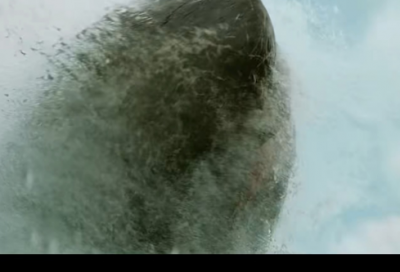 ​2025最新的植树节宣传标语