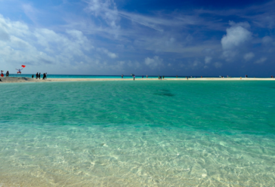 ​精选的服务理念标语大全(家政服务理念口号标语大全)